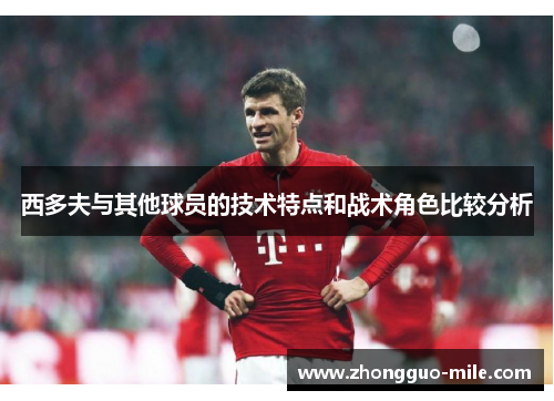 西多夫与其他球员的技术特点和战术角色比较分析 西多夫与其他球员的技术特点和战术角色比较分析